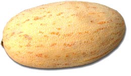 ���� �������