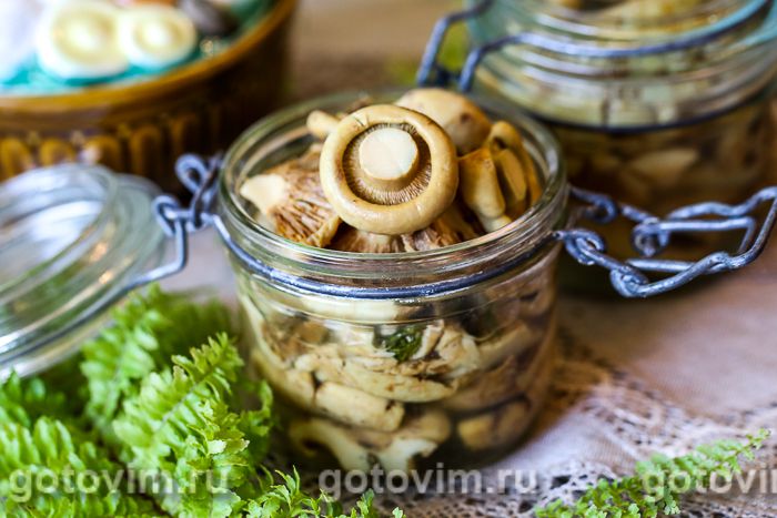 Рецепт маринованных грибов — как замариновать маслята и другие грибы на зиму | Роскачество