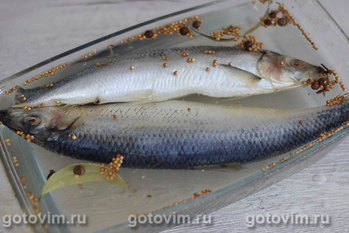 Классический рецепт засолки красной рыбы