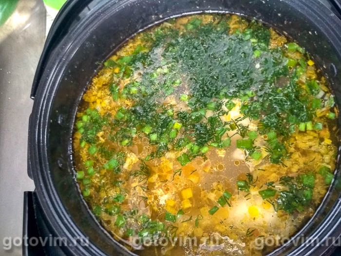 Куриный суп в мультиварке редмонд с рисом
