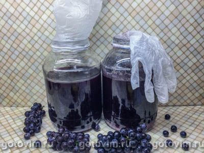 Как приготовить вино из синих сортов винограда в домашних условиях