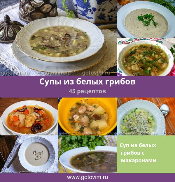 Супы из белых грибов