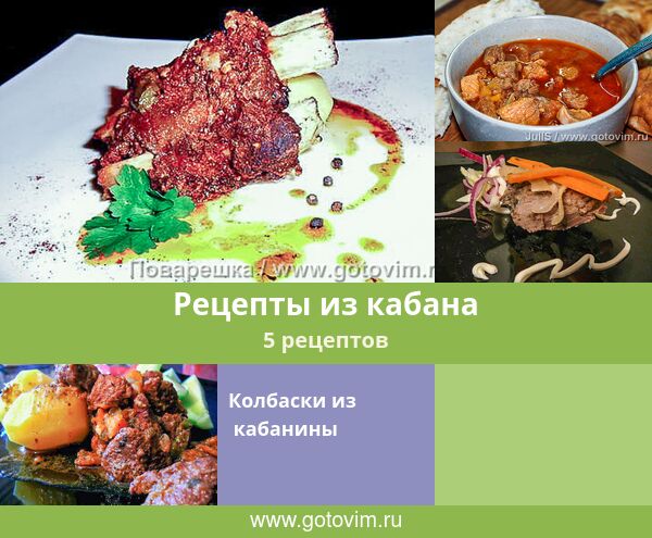 Мясо дикого кабана: блюда и рецепты